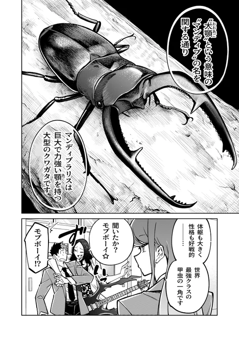 (2/2)