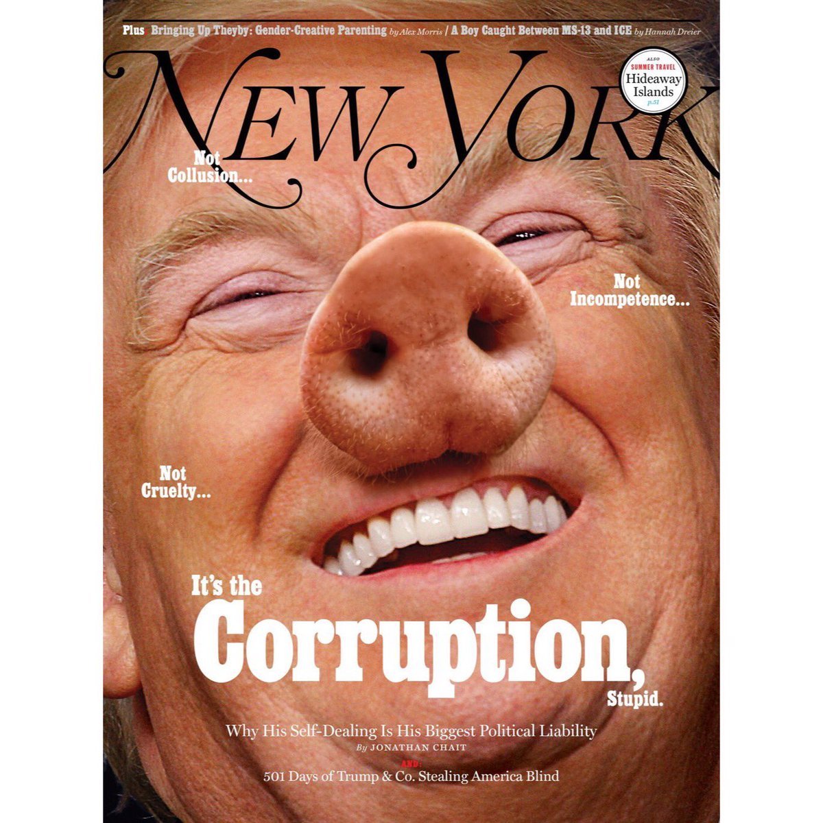 Damaan4u33's tweet image. Who agrees Trump is a two-legged, corrupt pig? ✋️✋️ ✋️