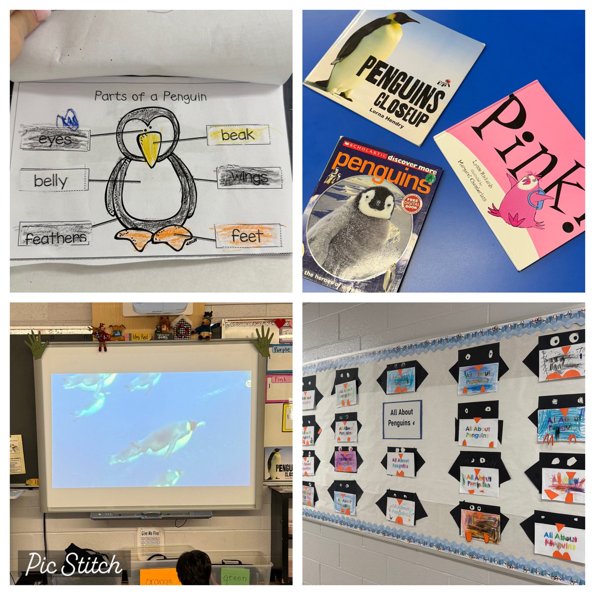 Let’s dive into learning about penguins 🐧 What a fun and exciting theme for kinder on these cold, winter days.