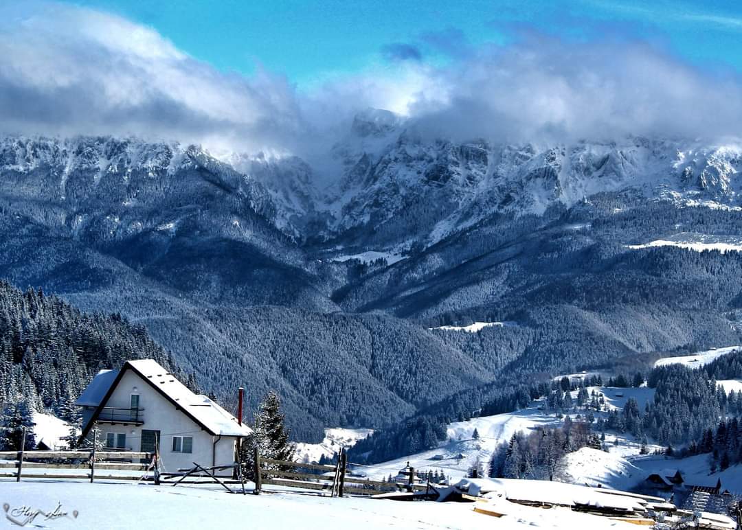Travel_2Romania's tweet photo. În #Fundata se respiră cel mai curat aer din #România.
Situată la cea mai mare altitudine, 1360 de metri, această localitate are un farmec aparte. ❄️☃️🌨⛄️❄️ Cheile Grădiștei - Fundata ❄️⛄️🌨☃️❄️
©️ Flory Dan
#TraveltoRomânia https://t.co/W3GSOyCdq6