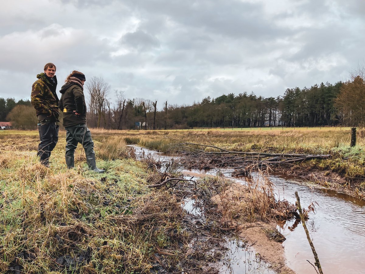 Ruim een jaar na beek- en natuurherstelproject de Vloeiweide samen met collega’s de ontwikkelingen bekeken. De natuur vult het al mooi in, processen zijn goed op gang! Én waterpeilen heel goed op orde (geen extremen). #mijnbrabantslandschap