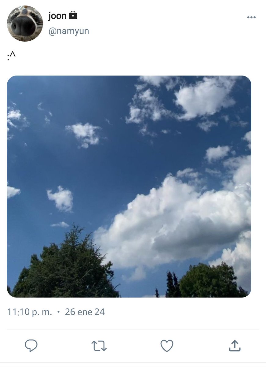 ninihvs's tweet image. 806! ...