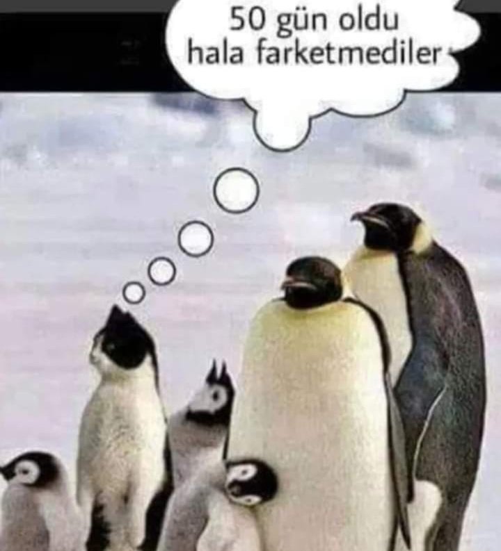 TsnIlayda's tweet photo. haklı bir abi jdjejkdks https://t.co/kxLqDPQ6TL