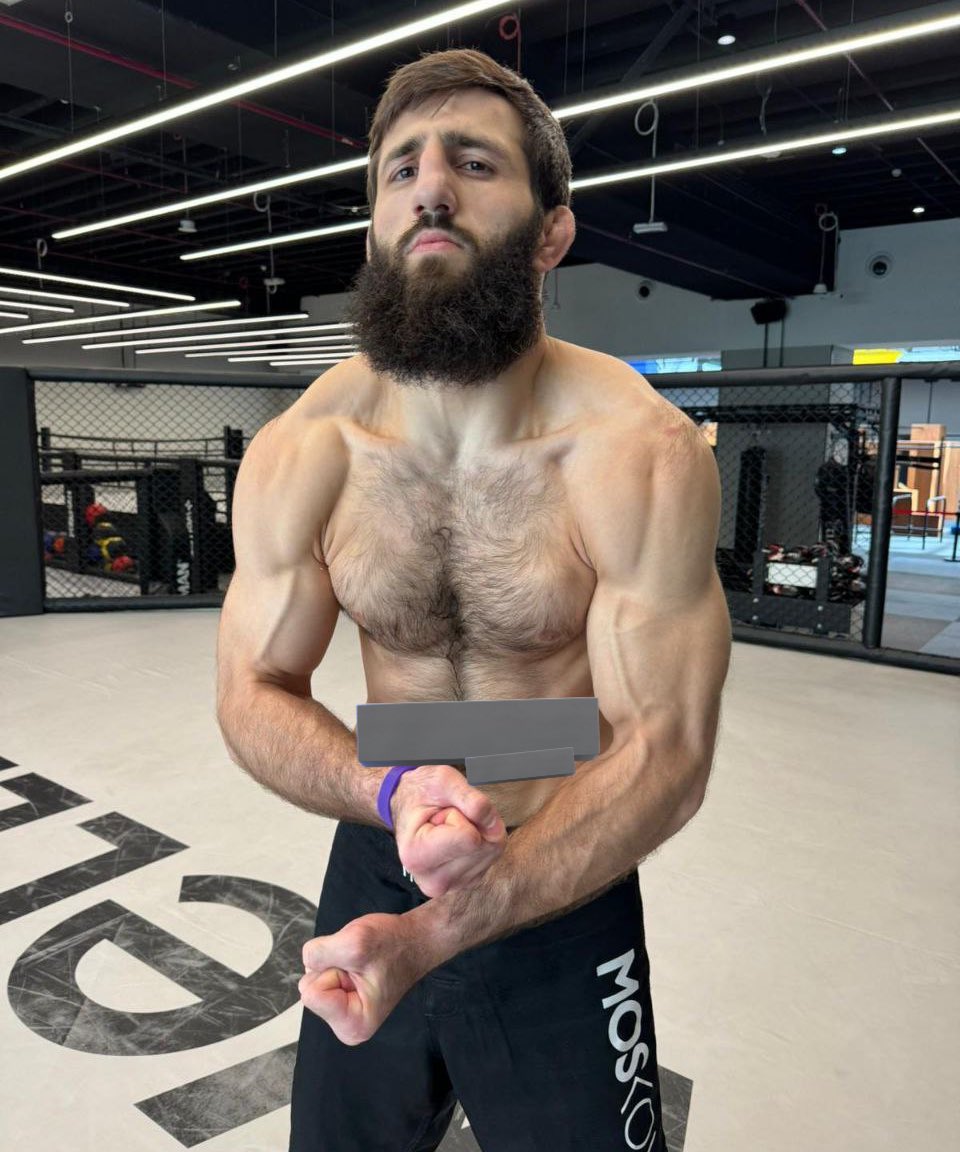 LazyKingMMA's tweet image. Je met pas de légende les guys , il y’en a déjà une sur la photo 😎