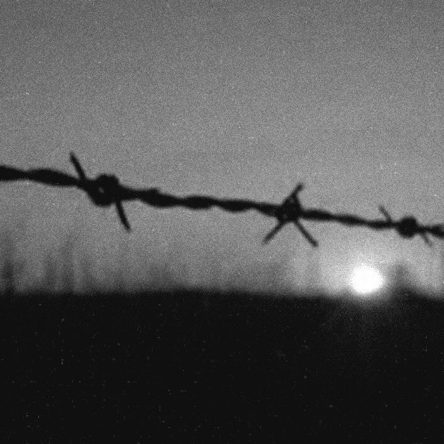 MarcoFoschi's tweet photo. Nascere per caso nascere donna nascere povera nascere ebrea è troppo in una sola vita. Edith Bruck #giornatadellamemoria #pernondimenticare #27gennaio https://t.co/m03bX3xWhA