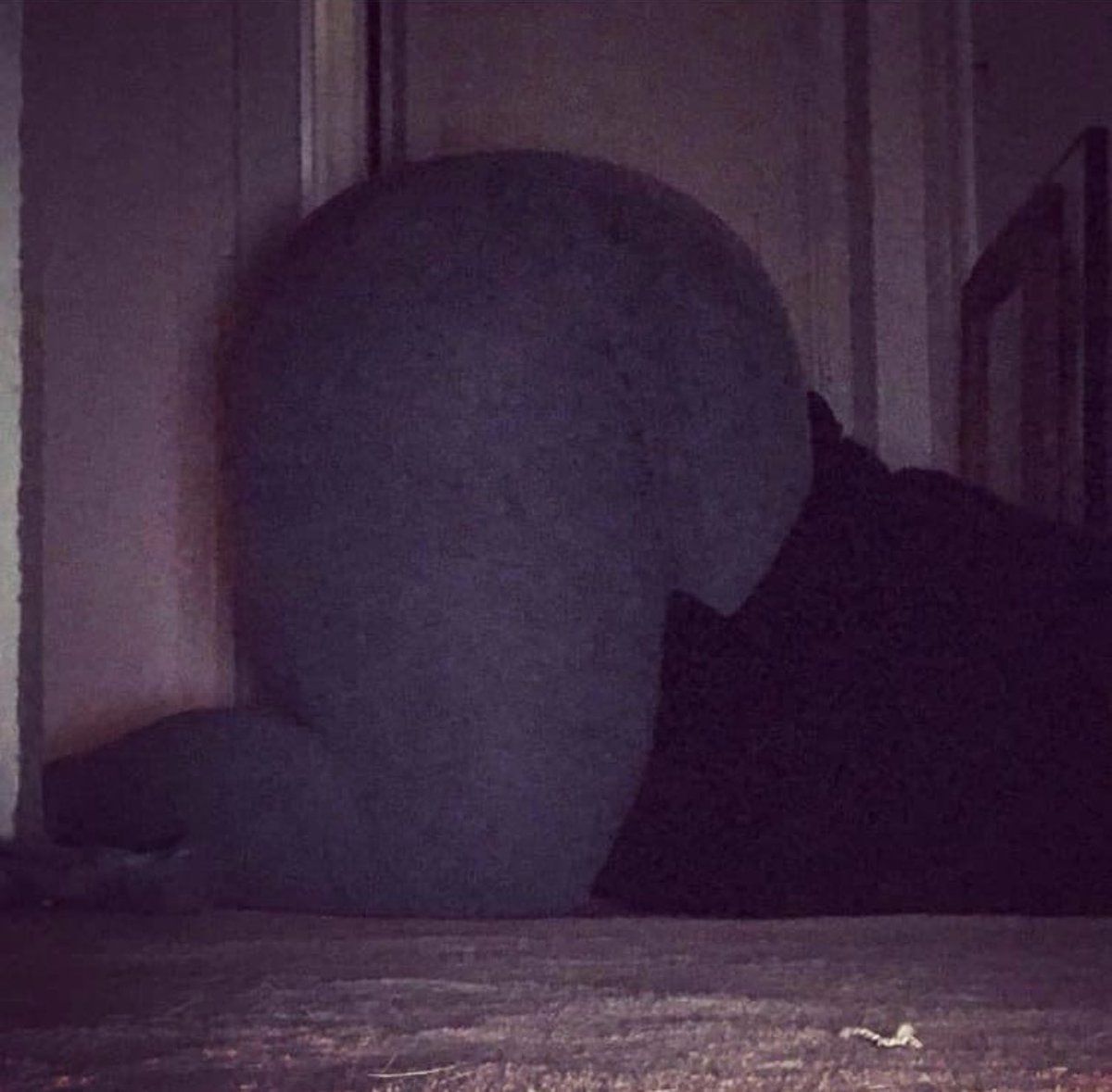 thenihiin's tweet photo. Back arch thread?
Let's have it🥹.... https://t.co/OZSCcpG017
