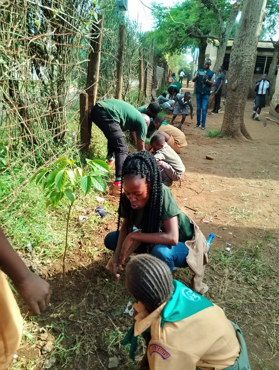 LakeBelt_Ke's tweet photo. 🌍🌿#WorldEnvironmentalEducationDay at Kondele Pri. Sch! Over 50 trees planted in Phase I of our #GrowWithYourTree initiative, the enthusiastic #YoungTreeAdopters are ready to nurture and grow alongside their new tree mates. 🌱🌳 #EnvironmentalEducation  #CommunityGreening 🍃🌍🌿 https://t.co/bMII4pQGYm