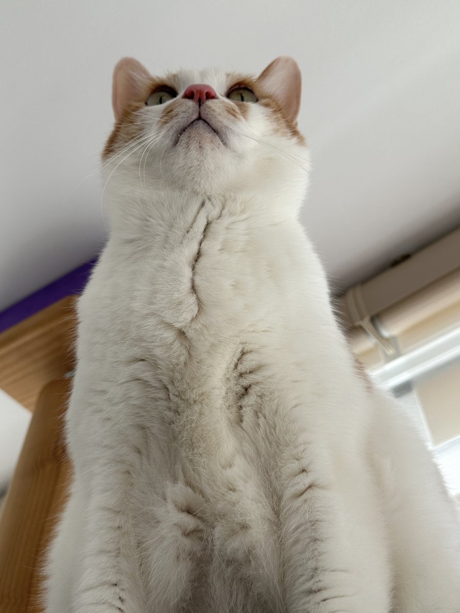 jokjok's tweet image. 웅장함이 지배하는 시대