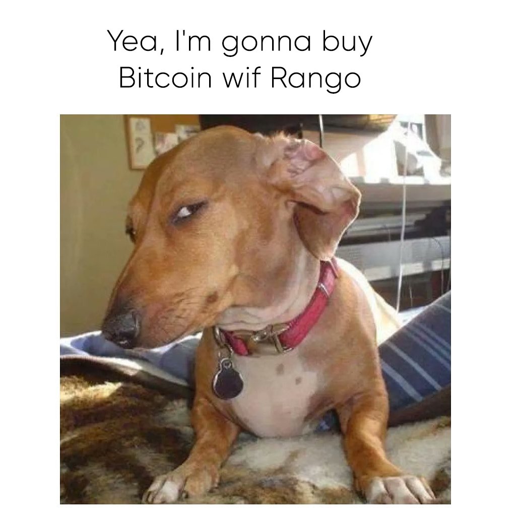 Rango (💙, 🔄) tweet media