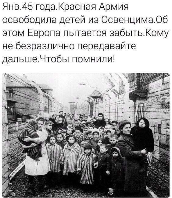 Francis49146726's tweet photo. El 27 de enero de 1945, el Ejército Rojo, bajo la dirección del mariscal Kónev, liberó el campo de exterminio de Auschwitz. 

Para los hipócritas occidentales que no se acuerden de quién apagó los fogones... https://t.co/0LgJk1mNd1