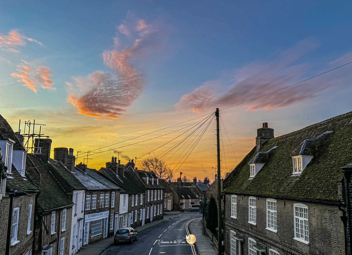 Veronica in the Fens 🧚🏼‍♀️ My Heart in Nature tweet media