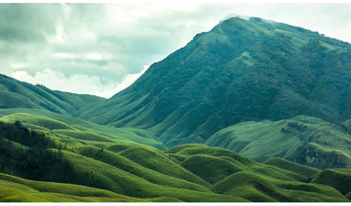 MoonFace🌝💫⚡️✨ tweet media