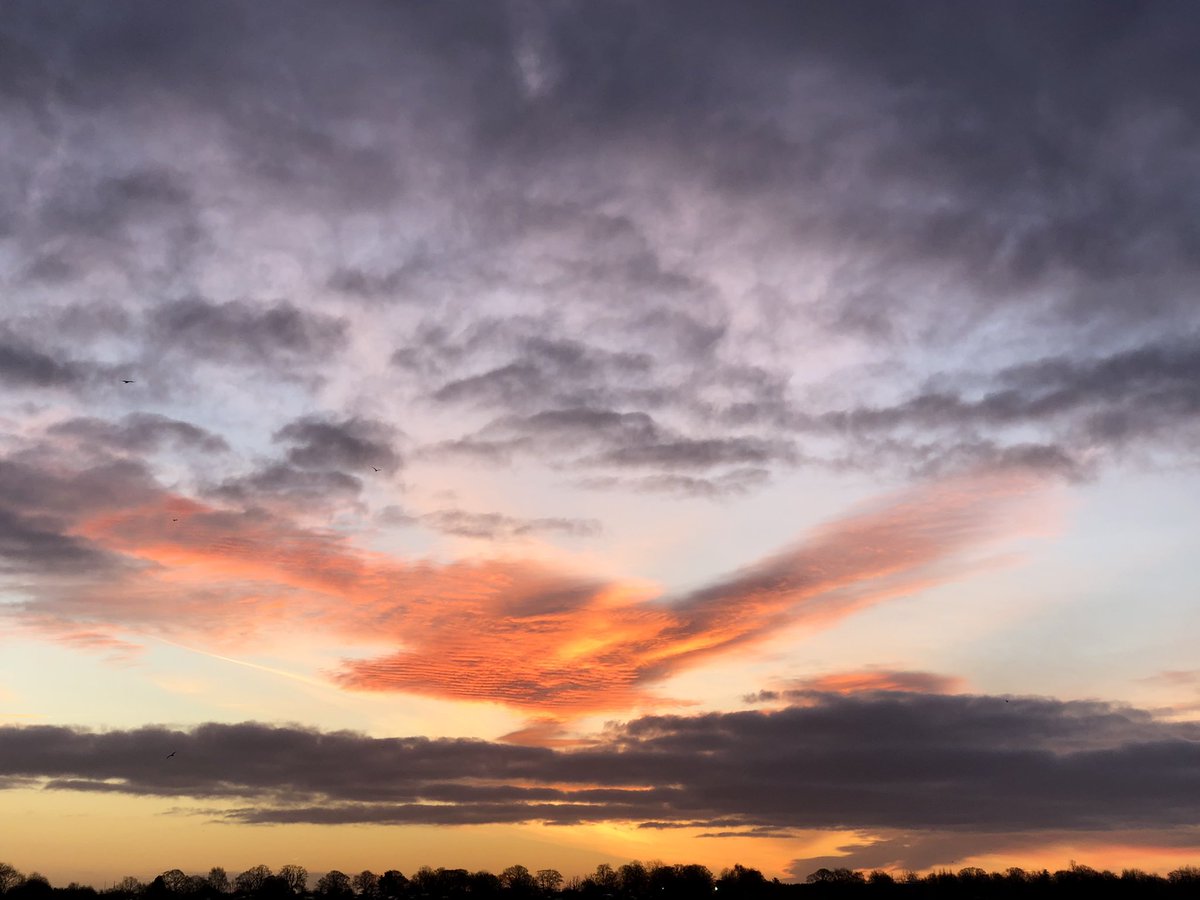 Ruth Till tweet media