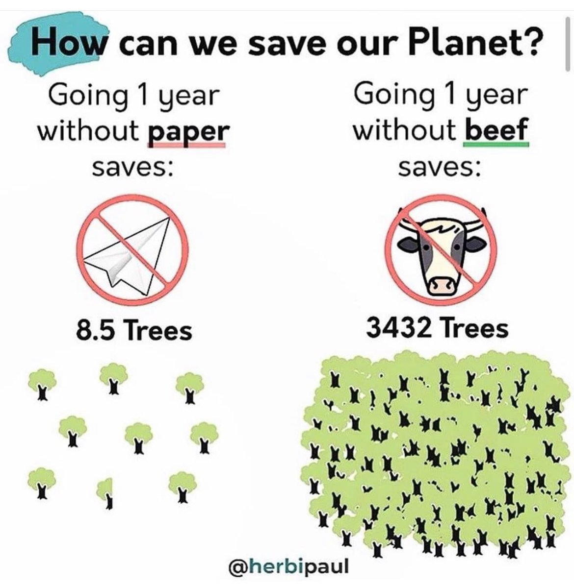 Did you know going without beef for an entire year saves 3432 trees? Animal agriculture is one of the biggest contributers to #climatechange. Try eating less meat every week, which helps reduce pressure on forests and land used to grow animal feed ultimately helping our planet!