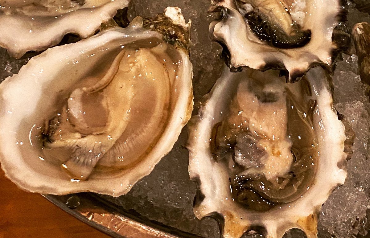 Choose one. #Cooked vs #Raw #Oyster. #Foodie #SaturdaySelection #Seafood