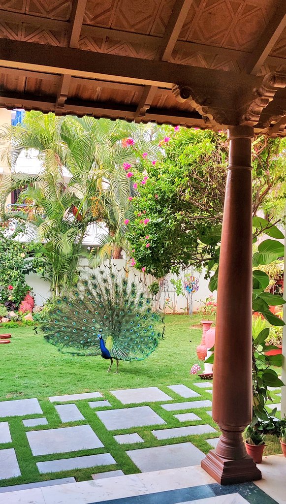 Guess who's got their dancing shoes on already and is all set for the weekend ?