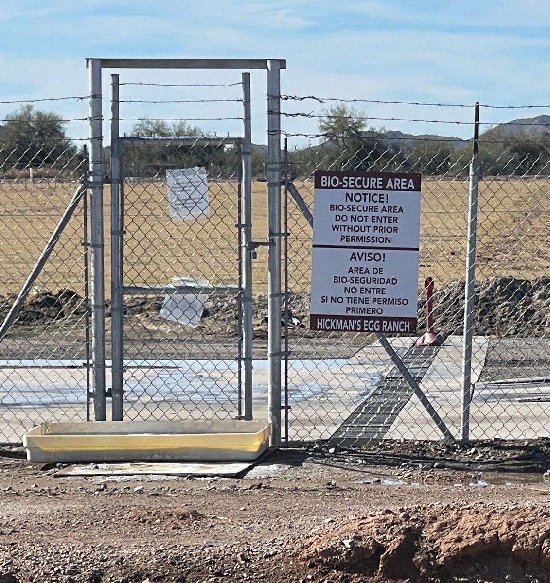 Bio-Secure Area? ☣️
Barbed wire?

For chickens? 🐓

Hickman's Egg Ranch,
Tonopah, AZ

Yesterday.

🐓☣️
#WeAreJohnCullen #WeWontStop