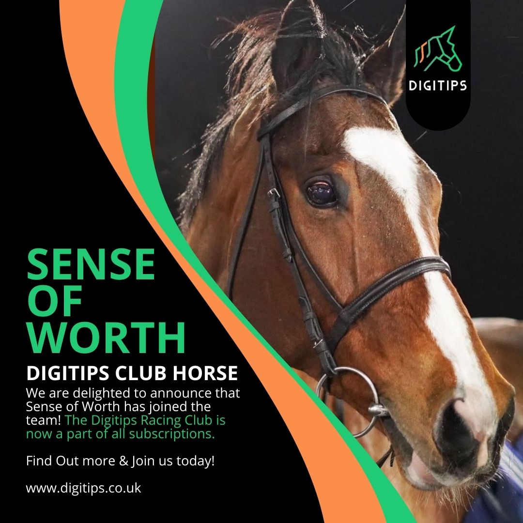 DigiRacing tweet media