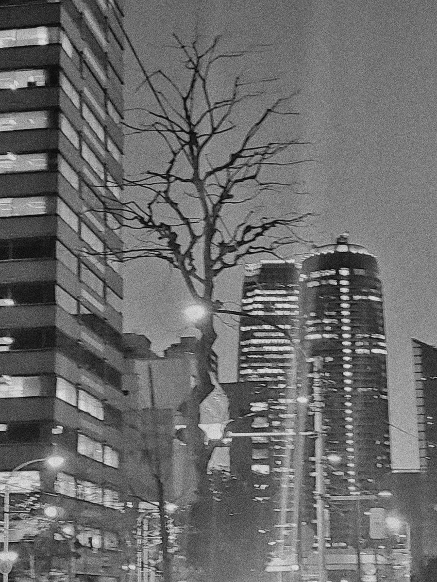 witchkeys's tweet image. Relação de amor e ódio com essa cidade.