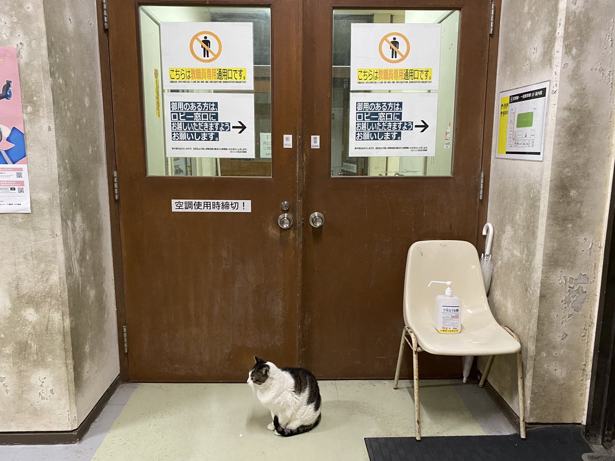 昨日は大好きな先生の最終講義でした。

沖縄芸大芸術学専攻
金惠信先生の講義会場へ向かうにゃんこ、と私。