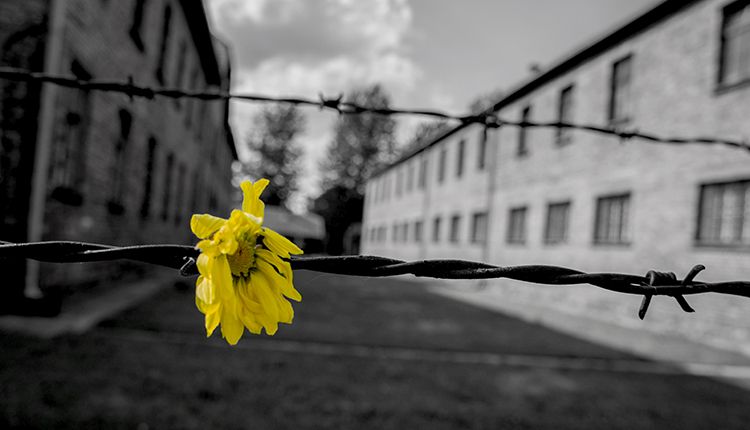 Ancor di più oggi chi vuole pace e convivenza in #MedioOriente non può che contrastare nel modo piu fermo ogni forma di antisemitismo, antisionismo e antiebraismo. "Mai più" non è solo un monito, ma  una responsabilità di ciascuno di noi.
#GiornataDellaMemoria
