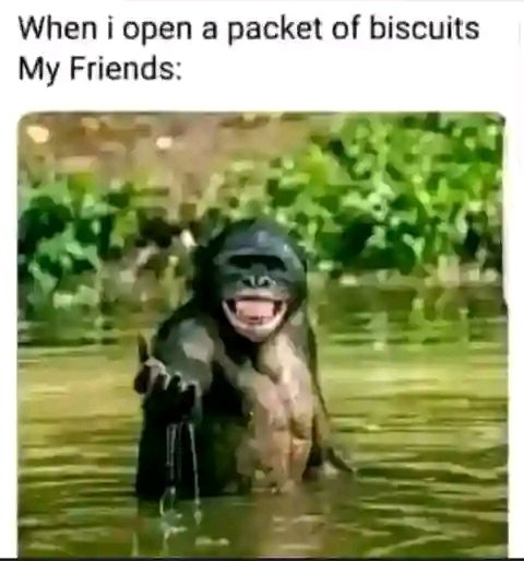 Nah how your biscuit go use finish.. 😁😁🍪🍪