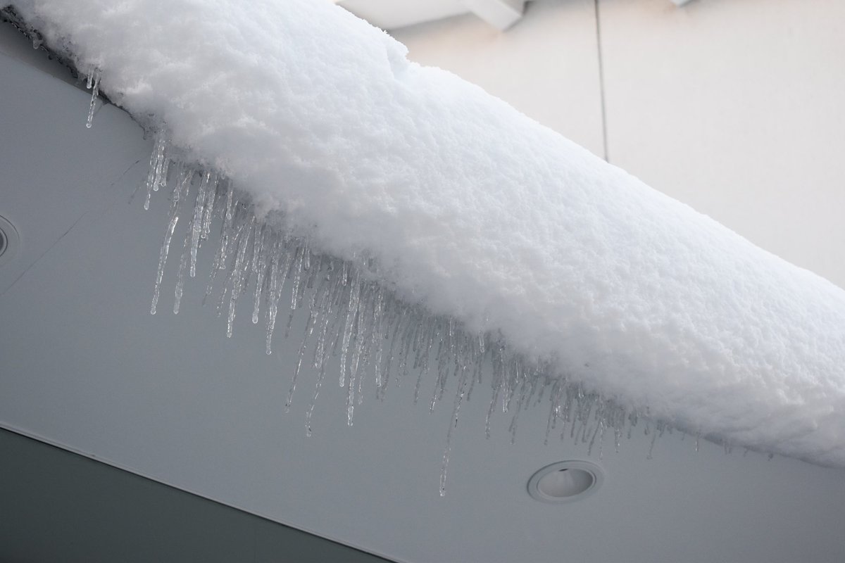 京都に来てから、雪が降った朝は毎年お気に入りのカメラを持って散歩に行くなどしているのですが、今年はあまり積もらなかったなぁ(写真は去年のもの)
地元では雪が降らないので、雪が降ると未だにﾜｸﾜｸする⛄️