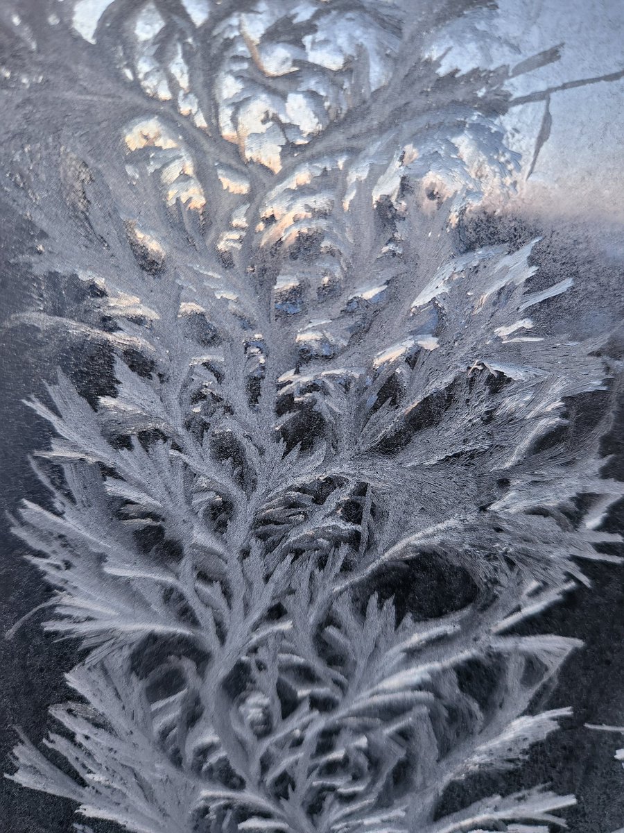 Hello_Liszy's tweet photo. Insane two weeks ago, everything was at -35 to -40, and now everything is "warmer" at -1. Photo from two weeks ago with our windows frozen. 😂 https://t.co/328MQhD01d