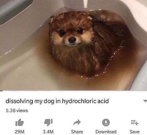 🕐HOURLY🕑 shitpost tweet media