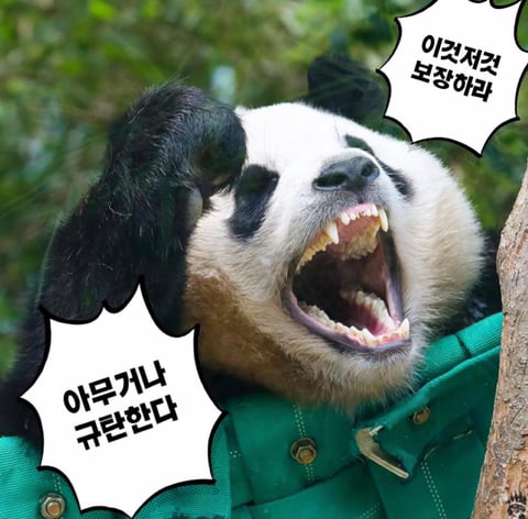 fantazzz_'s tweet photo. @namsegyun_zpt @zpt_kbong https://t.co/2hBqcUkYYU