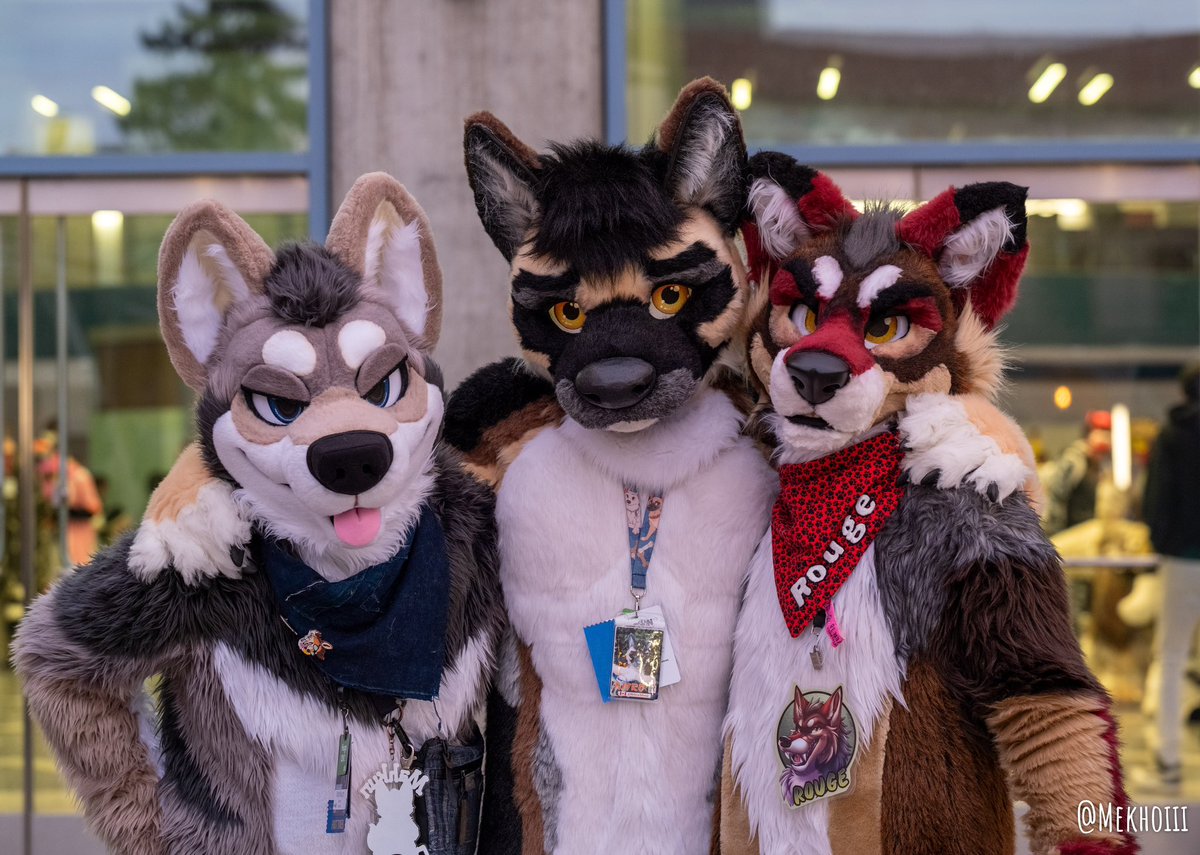 With cool shep and strawberry woof!!! 📸 @Mekhoiii