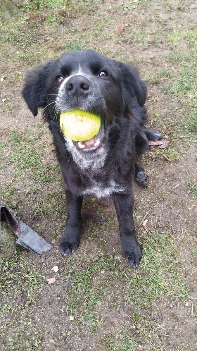 Qui ci portiamo avanti per domani... Forza <a href="/janniksin/">Jannik Sinner</a>!!!
#AustralianOpen