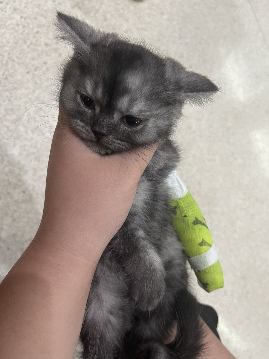 oilmno's tweet image. ใส่เฝือกไม่เกี่ยว ใส่เดี่ยวได้หมด