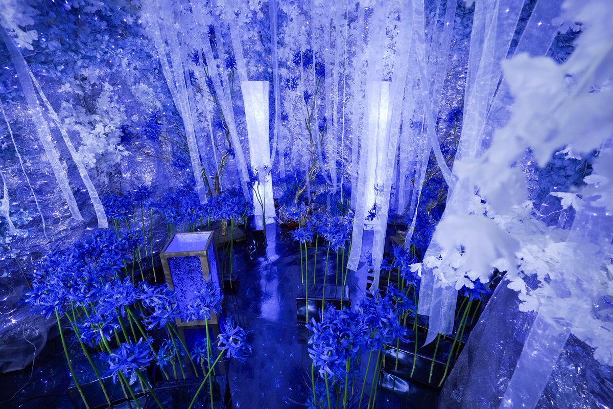 スタジオこむや on X