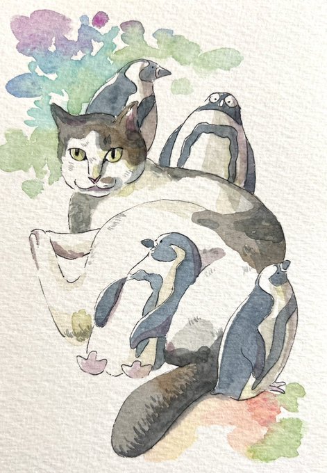 「penguin watercolor (medium)」 illustration images(Latest)