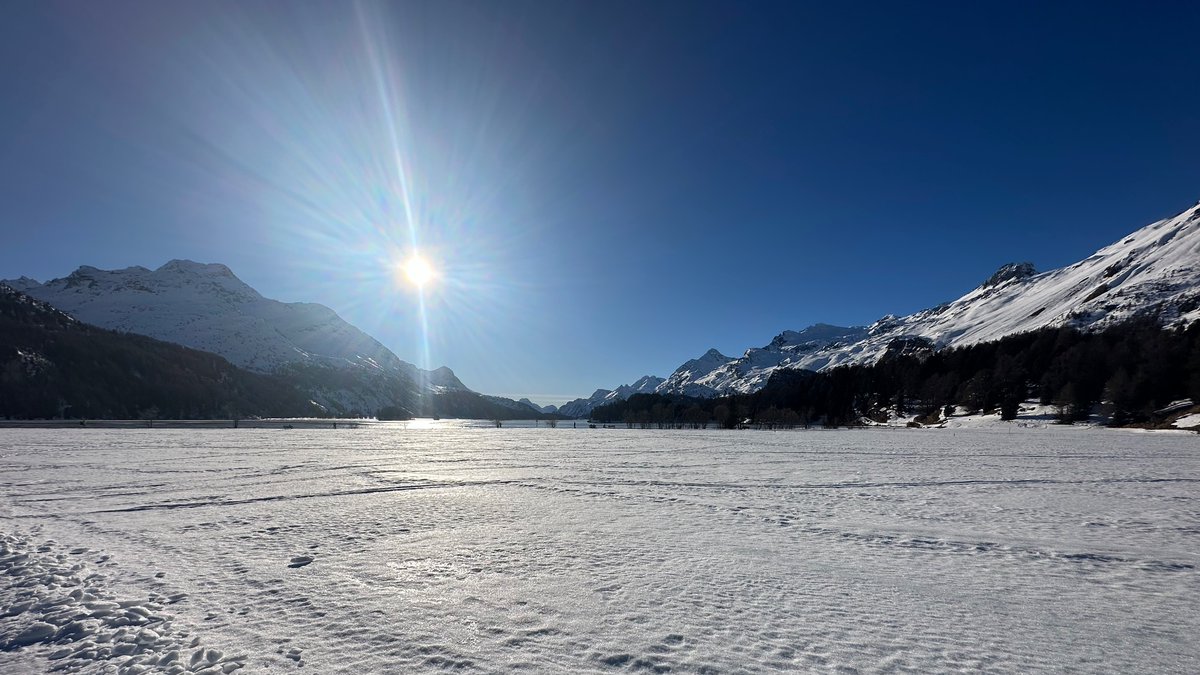 Florian Egloff tweet media