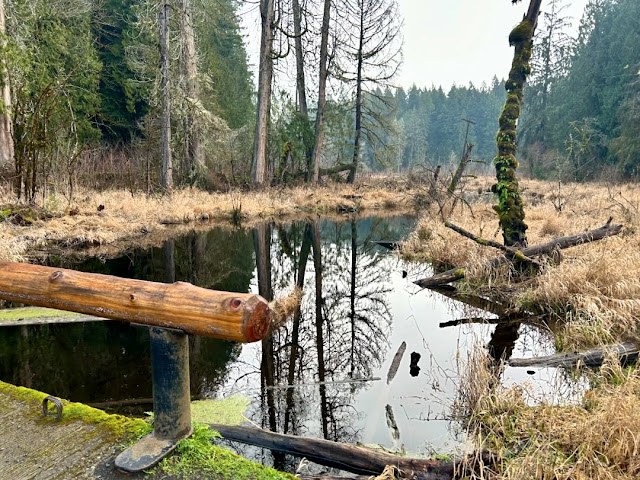 This week's Hiker Headlines are here!

Mount Rainier timed reservations, WTA is hiring, trail closures &amp; more: l8r.it/jOXM