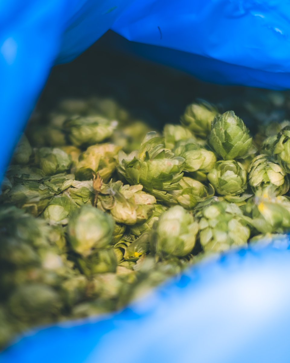 Siren Craft Brew tweet media