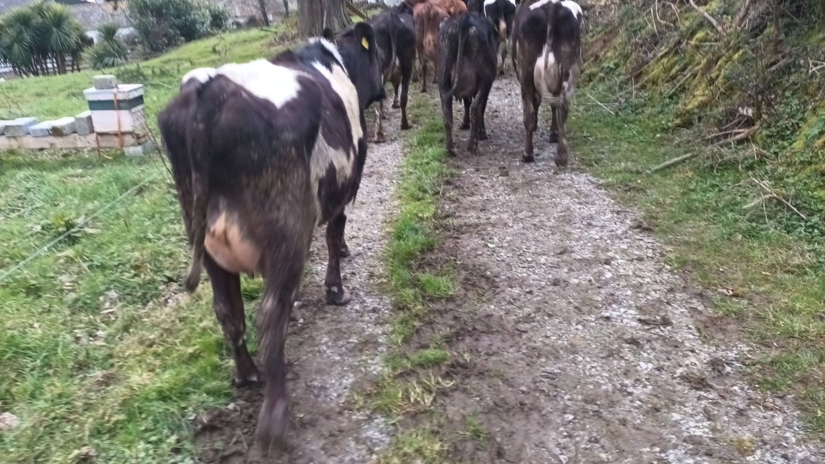 1st grazing of 2024 complete. Hopefully it will be a good year