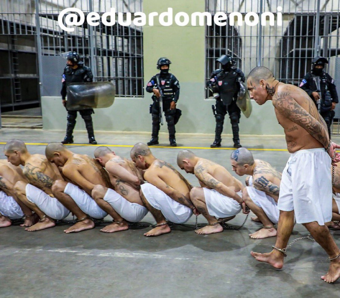 eduardomenoni's tweet photo. ¿Te gustaría que en tú país traten a los delincuentes, pandilleros, violadores y asesinos como los trata Nayib Bukele en El Salvador? 🇸🇻 https://t.co/dJ61KfglBV