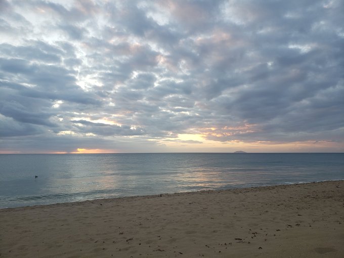 Yesterday I got to swim in this warm ocean water while pelicans were flying around and swimming right