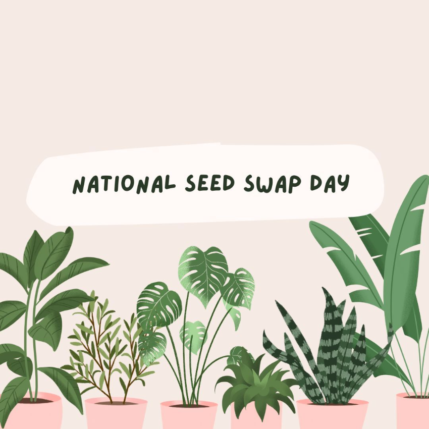 Today is National Seed Swap Day!

#Alisterdeco#millcreekres#seedswap#greenearth