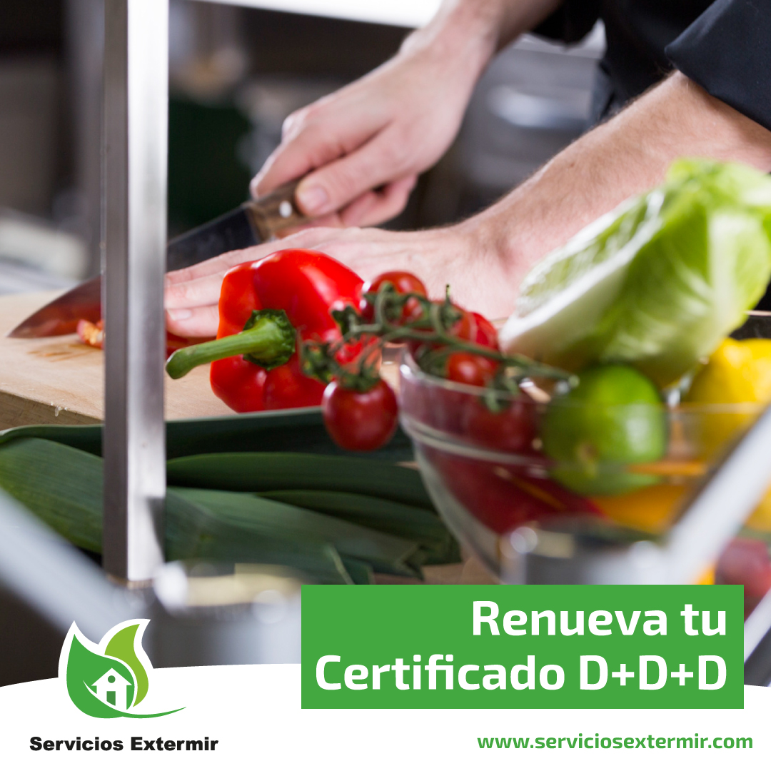 SExtermir's tweet image. ¡No comprometas la reputación y la actividad de tu negocio 😣!

Solicita la renovación de tu Certificado D+D+D 📄 y garantiza que tus instalaciones sean un entorno seguro para empleados y clientes.

👉🏻 ¡Contáctanos!
serviciosextermir.com