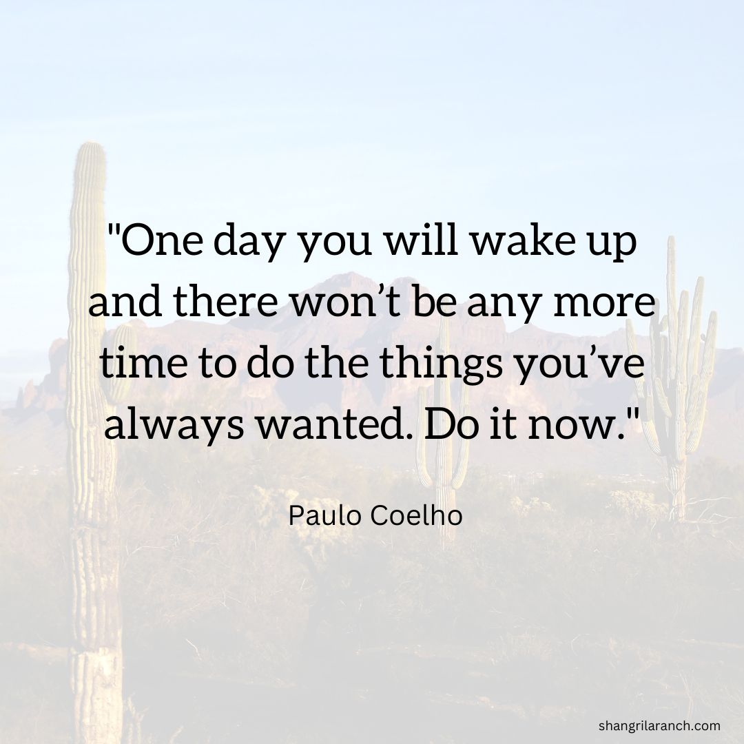 Stop dreaming and start doing - don't wait any longer to pursue your dreams and ambitions! #Inspiration #DontWait #TakeAction #PauloCoelho shangrilaranch.com