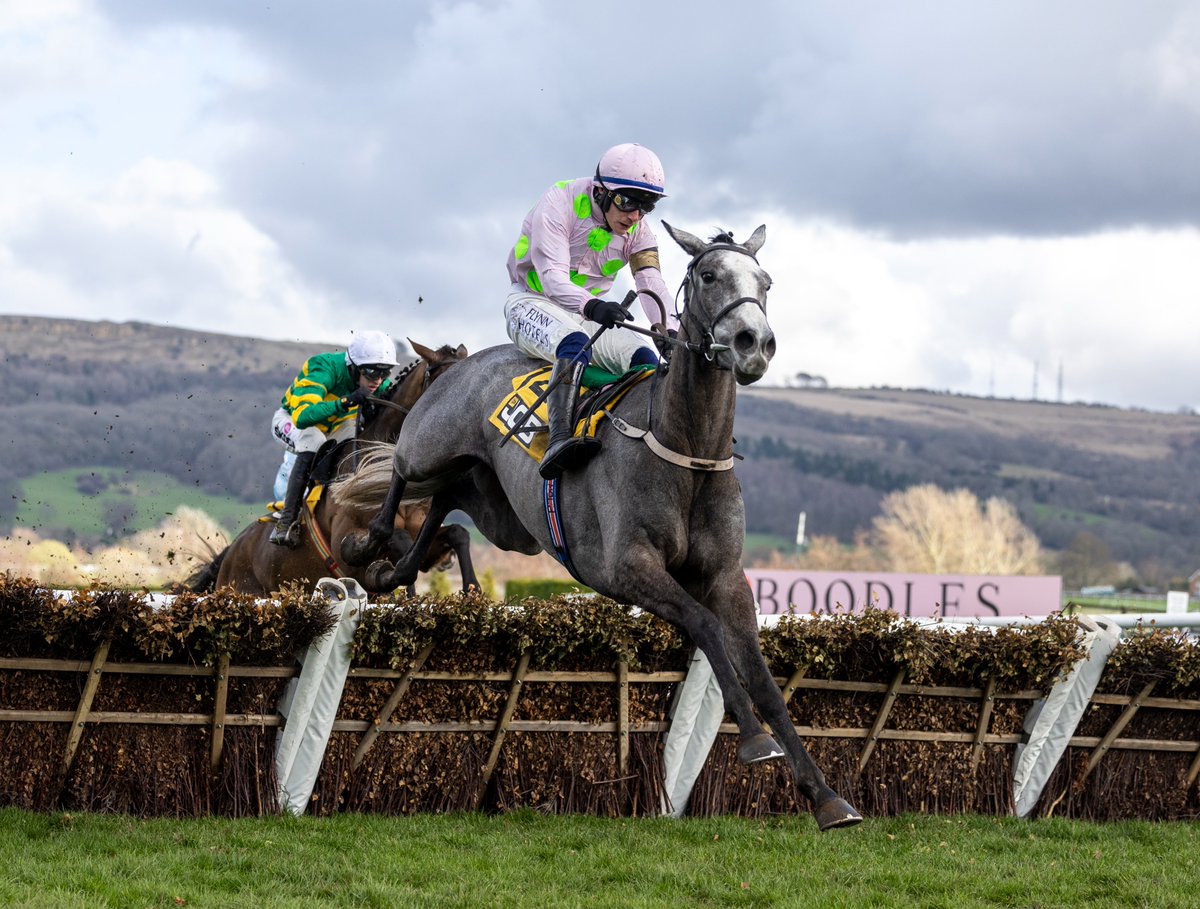 My Racing Tips tweet media