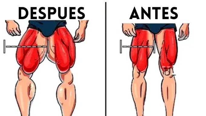 CoachJuuan's tweet photo. 5 Ejercicios para conseguir unas piernas más grandes en semanas : 

- En el gimnasio 💪
- En casa 🏠
- Aumenta tus niveles de testosterona 🔥

🧵HILO 🧵 https://t.co/tZrlMDoRMu