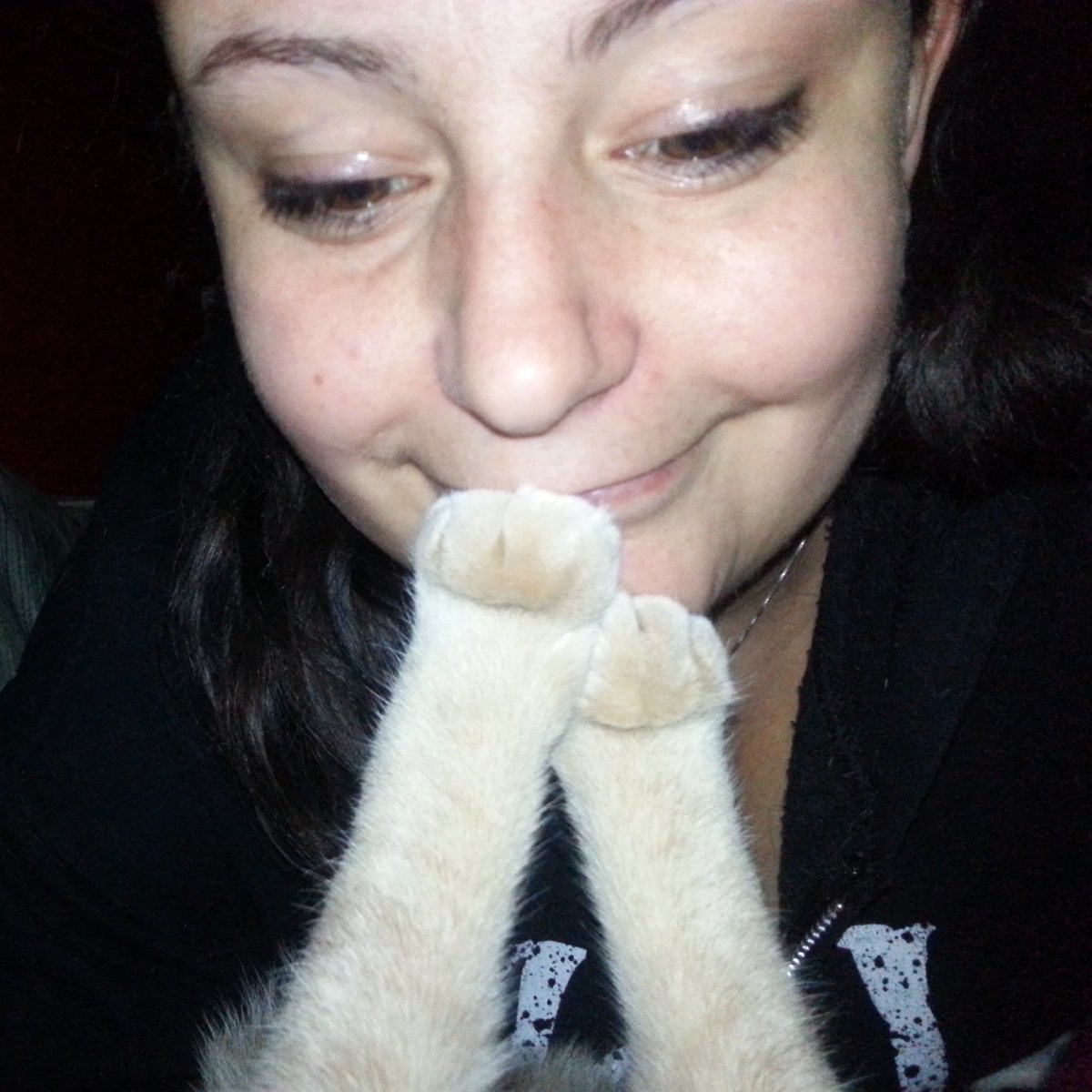 Don De Tina MD tweet media