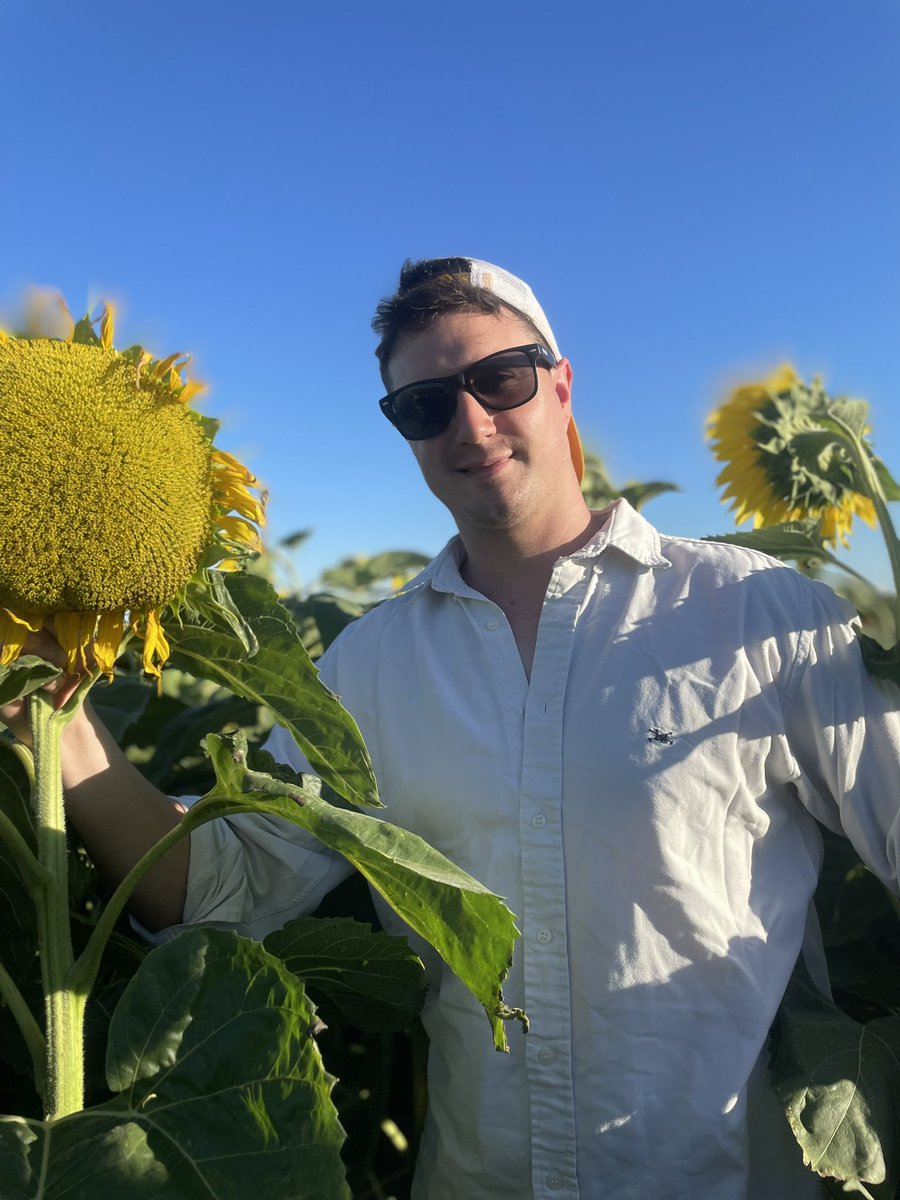 joaco8520's tweet photo. 🌻 🌻 https://t.co/gWb7gUOHhQ