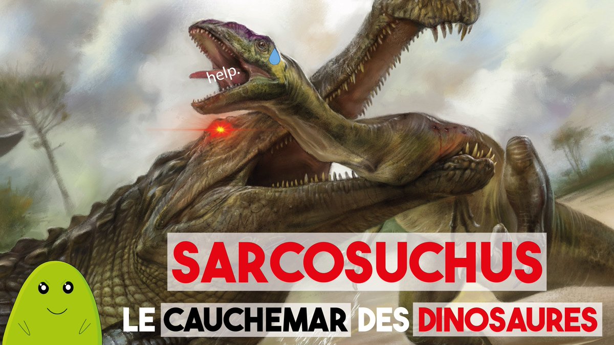 Plop ! Nouvelle vidéo consacrée cette fois-ci au plus célèbre des crocos géants, Sarcosuchus. youtu.be/Ir7dv4p7G_c?si…