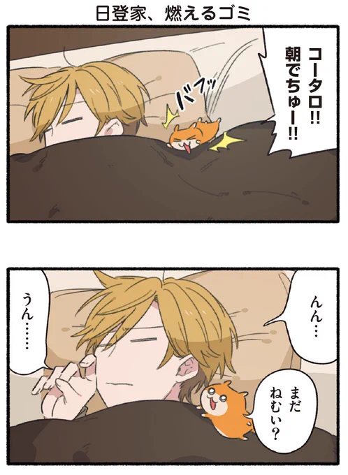 クソハム、ゴミ (1/3)
#日登家 #クソハムちゃん 